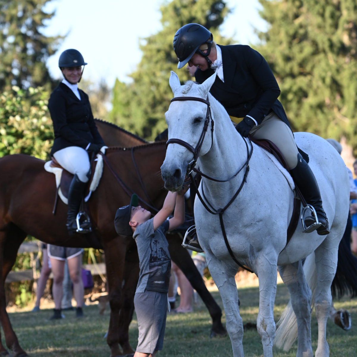 How I Organize My Life As An Adult&nbsp;Amateur