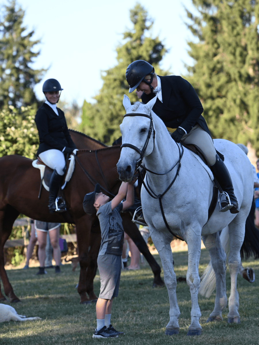 How I Organize My Life As An Adult&nbsp;Amateur